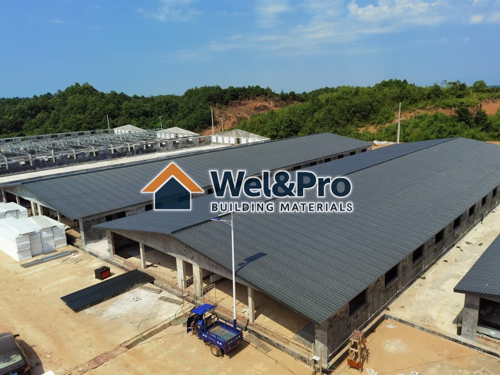 Grey ASA resin tile installed in breeding greenhouse for growing cow.durable and beautiful roof material